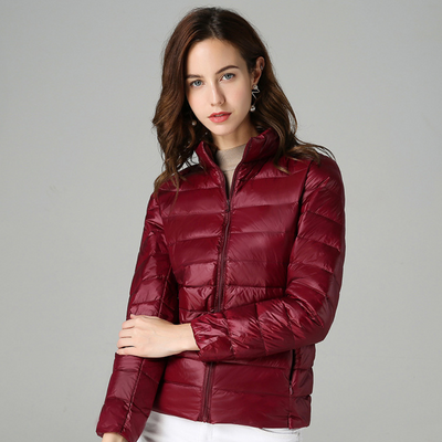 Storm Jacket